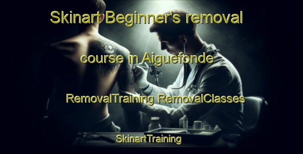 Skinart Beginner's removal course in Aiguefonde | #RemovalTraining #RemovalClasses #SkinartTraining-France