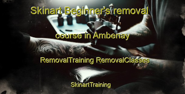 Skinart Beginner's removal course in Ambenay | #RemovalTraining #RemovalClasses #SkinartTraining-France