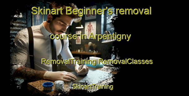 Skinart Beginner's removal course in Arpentigny | #RemovalTraining #RemovalClasses #SkinartTraining-France