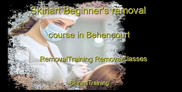 Skinart Beginner's removal course in Behencourt | #RemovalTraining #RemovalClasses #SkinartTraining-France