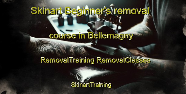 Skinart Beginner's removal course in Bellemagny | #RemovalTraining #RemovalClasses #SkinartTraining-France