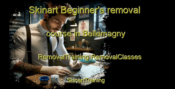 Skinart Beginner's removal course in Bellemagny | #RemovalTraining #RemovalClasses #SkinartTraining-France