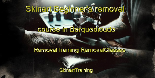 Skinart Beginner's removal course in Berquedioude | #RemovalTraining #RemovalClasses #SkinartTraining-France