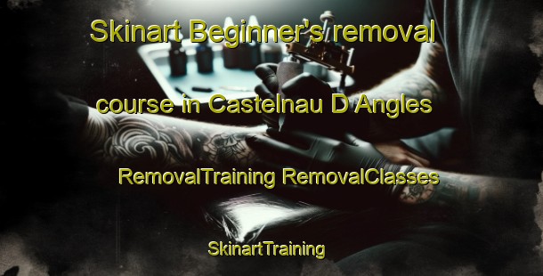 Skinart Beginner's removal course in Castelnau D Angles | #RemovalTraining #RemovalClasses #SkinartTraining-France