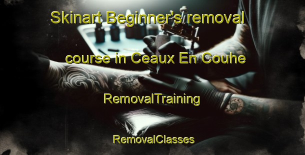 Skinart Beginner's removal course in Ceaux En Couhe | RemovalTraining | RemovalClasses | SkinartTraining-France