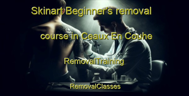 Skinart Beginner's removal course in Ceaux En Couhe | RemovalTraining | RemovalClasses | SkinartTraining-France