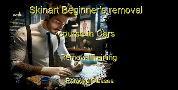 Skinart Beginner's removal course in Cers | RemovalTraining | RemovalClasses | SkinartTraining-France