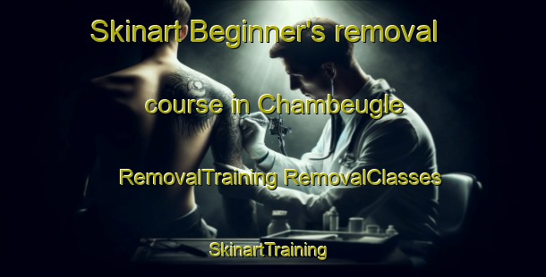 Skinart Beginner's removal course in Chambeugle | #RemovalTraining #RemovalClasses #SkinartTraining-France