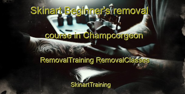 Skinart Beginner's removal course in Champcorgeon | #RemovalTraining #RemovalClasses #SkinartTraining-France