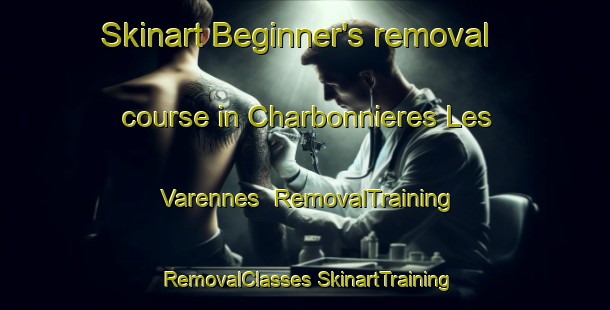 Skinart Beginner's removal course in Charbonnieres Les Varennes | #RemovalTraining #RemovalClasses #SkinartTraining-France