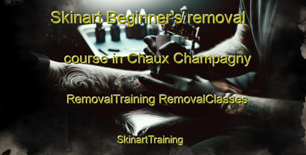 Skinart Beginner's removal course in Chaux Champagny | #RemovalTraining #RemovalClasses #SkinartTraining-France