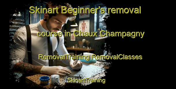 Skinart Beginner's removal course in Chaux Champagny | #RemovalTraining #RemovalClasses #SkinartTraining-France