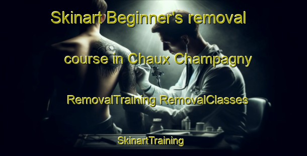 Skinart Beginner's removal course in Chaux Champagny | #RemovalTraining #RemovalClasses #SkinartTraining-France