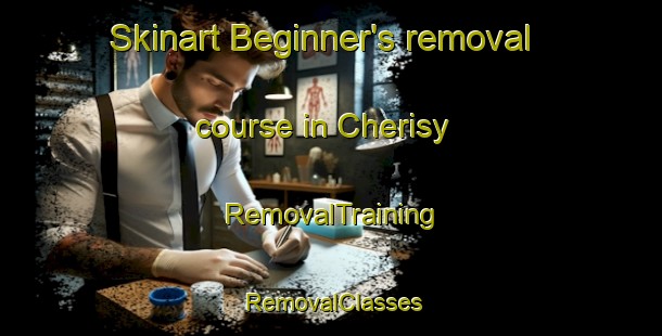 Skinart Beginner's removal course in Cherisy | RemovalTraining | RemovalClasses | SkinartTraining-France