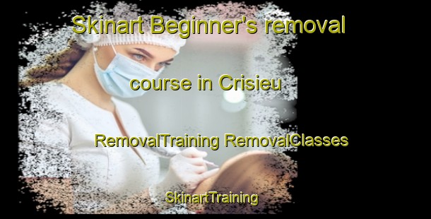 Skinart Beginner's removal course in Crisieu | #RemovalTraining #RemovalClasses #SkinartTraining-France