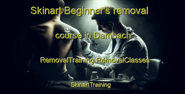 Skinart Beginner's removal course in Dambach | #RemovalTraining #RemovalClasses #SkinartTraining-France