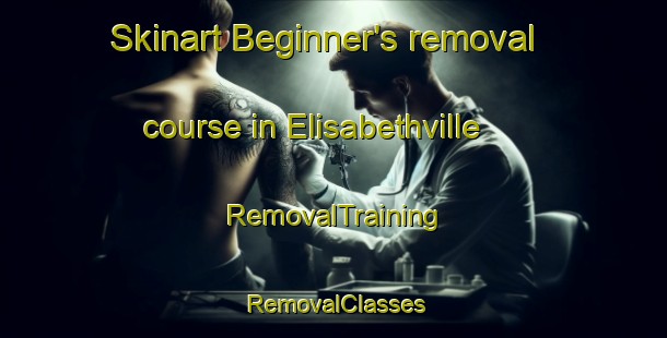 Skinart Beginner's removal course in Elisabethville | RemovalTraining | RemovalClasses | SkinartTraining-France