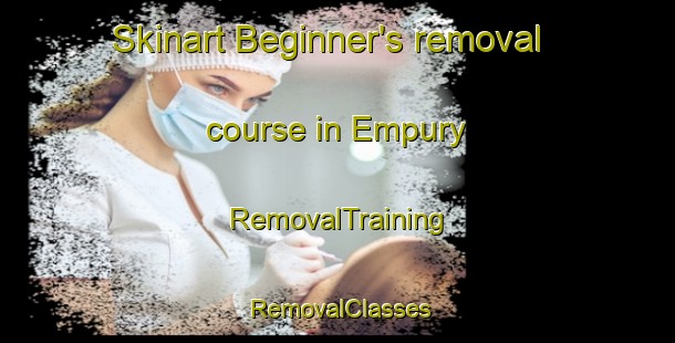 Skinart Beginner's removal course in Empury | RemovalTraining | RemovalClasses | SkinartTraining-France