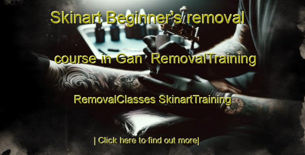 Skinart Beginner's removal course in Gan | #RemovalTraining #RemovalClasses #SkinartTraining-France