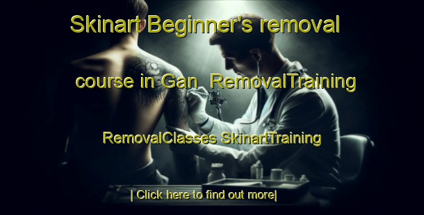 Skinart Beginner's removal course in Gan | #RemovalTraining #RemovalClasses #SkinartTraining-France