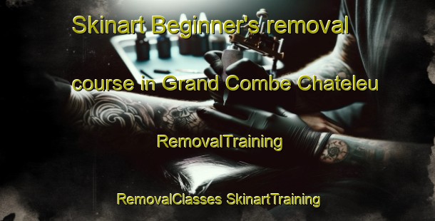 Skinart Beginner's removal course in Grand Combe Chateleu | #RemovalTraining #RemovalClasses #SkinartTraining-France