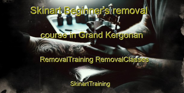 Skinart Beginner's removal course in Grand Kergonan | #RemovalTraining #RemovalClasses #SkinartTraining-France