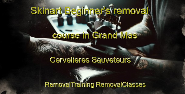 Skinart Beginner's removal course in Grand Mas Cervelieres Sauveteurs | #RemovalTraining #RemovalClasses #SkinartTraining-France