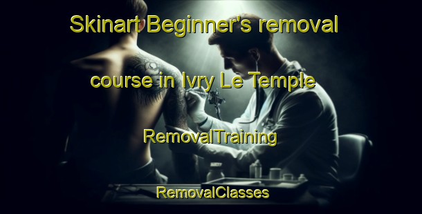 Skinart Beginner's removal course in Ivry Le Temple | RemovalTraining | RemovalClasses | SkinartTraining-France