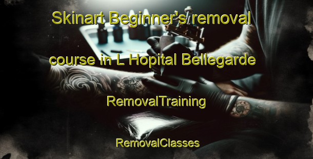 Skinart Beginner's removal course in L Hopital Bellegarde | RemovalTraining | RemovalClasses | SkinartTraining-France