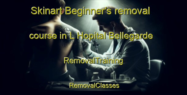 Skinart Beginner's removal course in L Hopital Bellegarde | RemovalTraining | RemovalClasses | SkinartTraining-France