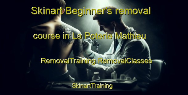 Skinart Beginner's removal course in La Poterie Mathieu | #RemovalTraining #RemovalClasses #SkinartTraining-France