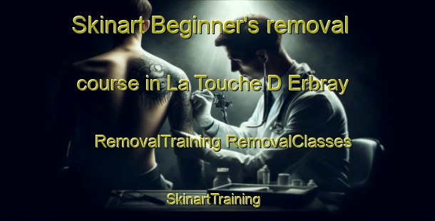 Skinart Beginner's removal course in La Touche D Erbray | #RemovalTraining #RemovalClasses #SkinartTraining-France