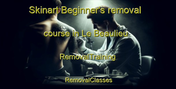 Skinart Beginner's removal course in Le Beaulieu | RemovalTraining | RemovalClasses | SkinartTraining-France