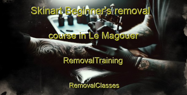 Skinart Beginner's removal course in Le Magouer | RemovalTraining | RemovalClasses | SkinartTraining-France