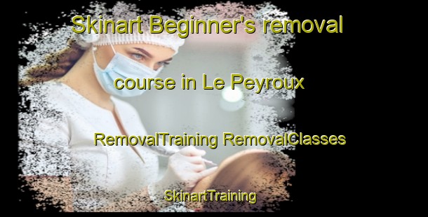 Skinart Beginner's removal course in Le Peyroux | #RemovalTraining #RemovalClasses #SkinartTraining-France