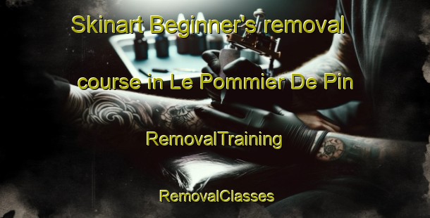 Skinart Beginner's removal course in Le Pommier De Pin | RemovalTraining | RemovalClasses | SkinartTraining-France
