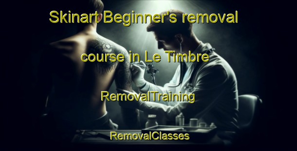 Skinart Beginner's removal course in Le Timbre | RemovalTraining | RemovalClasses | SkinartTraining-France