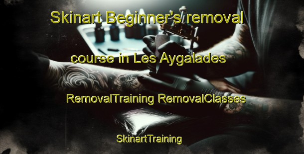 Skinart Beginner's removal course in Les Aygalades | #RemovalTraining #RemovalClasses #SkinartTraining-France