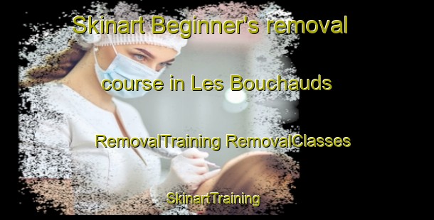 Skinart Beginner's removal course in Les Bouchauds | #RemovalTraining #RemovalClasses #SkinartTraining-France