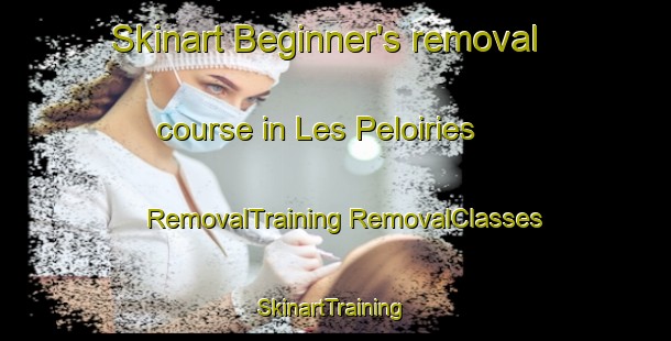 Skinart Beginner's removal course in Les Peloiries | #RemovalTraining #RemovalClasses #SkinartTraining-France