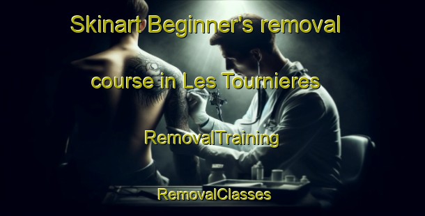Skinart Beginner's removal course in Les Tournieres | RemovalTraining | RemovalClasses | SkinartTraining-France