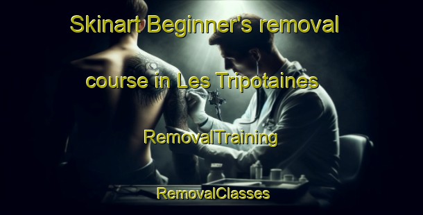 Skinart Beginner's removal course in Les Tripotaines | RemovalTraining | RemovalClasses | SkinartTraining-France