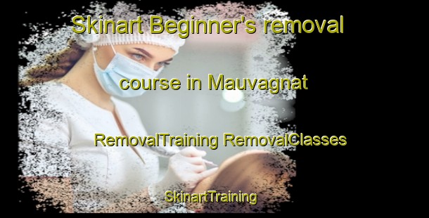 Skinart Beginner's removal course in Mauvagnat | #RemovalTraining #RemovalClasses #SkinartTraining-France