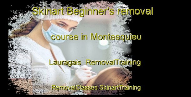 Skinart Beginner's removal course in Montesquieu Lauragais | #RemovalTraining #RemovalClasses #SkinartTraining-France