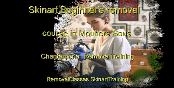 Skinart Beginner's removal course in Moutiers Sous Chantemerle | #RemovalTraining #RemovalClasses #SkinartTraining-France