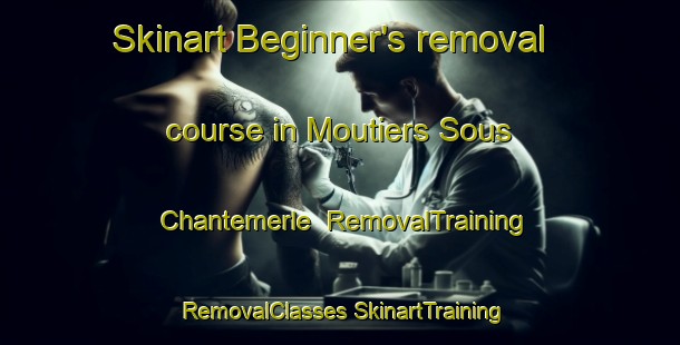 Skinart Beginner's removal course in Moutiers Sous Chantemerle | #RemovalTraining #RemovalClasses #SkinartTraining-France