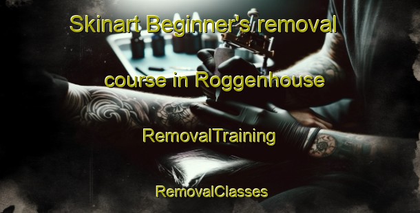 Skinart Beginner's removal course in Roggenhouse | RemovalTraining | RemovalClasses | SkinartTraining-France