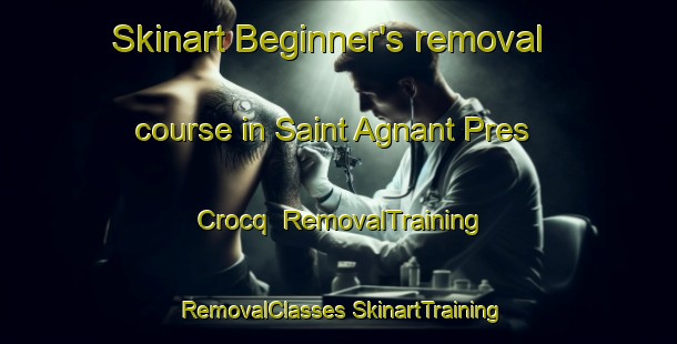 Skinart Beginner's removal course in Saint Agnant Pres Crocq | #RemovalTraining #RemovalClasses #SkinartTraining-France