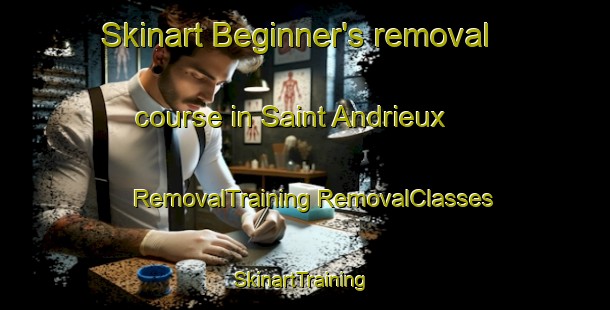 Skinart Beginner's removal course in Saint Andrieux | #RemovalTraining #RemovalClasses #SkinartTraining-France