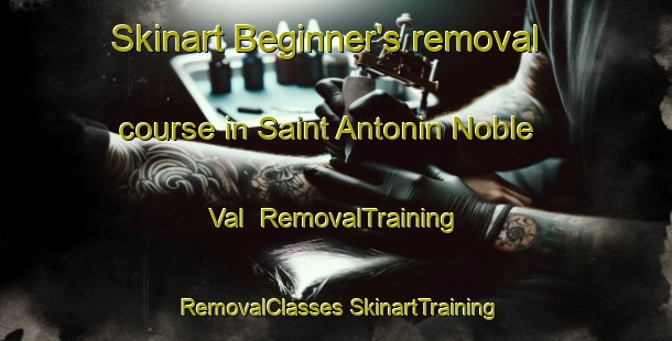 Skinart Beginner's removal course in Saint Antonin Noble Val | #RemovalTraining #RemovalClasses #SkinartTraining-France